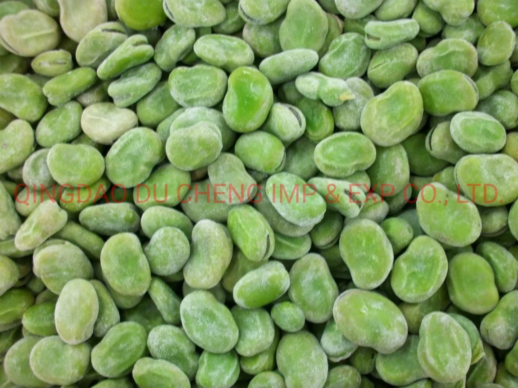 Top Grade Dry Fava Beans / Dry Yellow Broad Beans/ Frozen Green Broad Bean