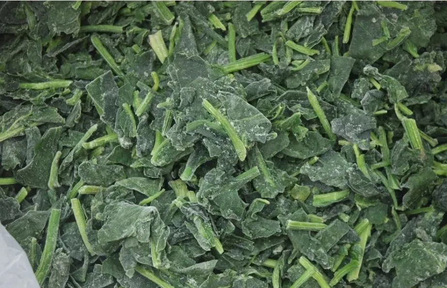 Processed Spinach Cut High Quality IQF Chopped Spinach 3/8", Frozen Vegetable