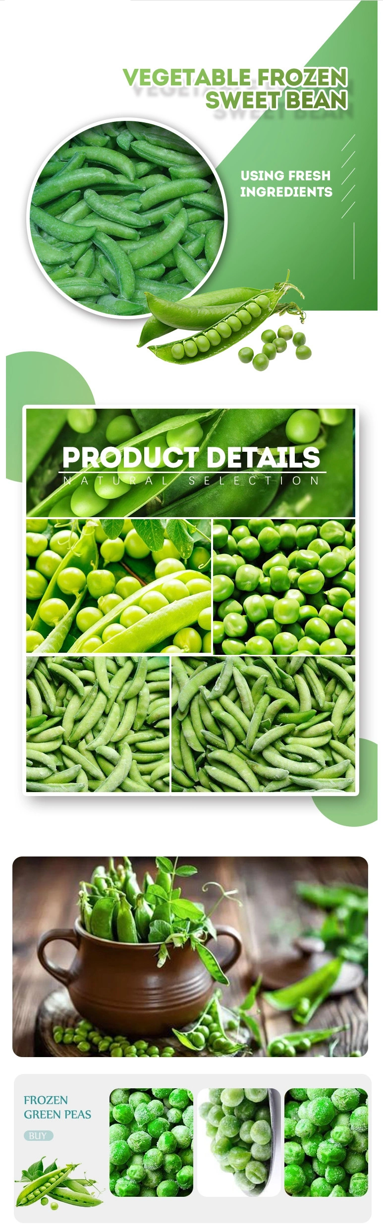 Frozen Edamame IQF Green Beans