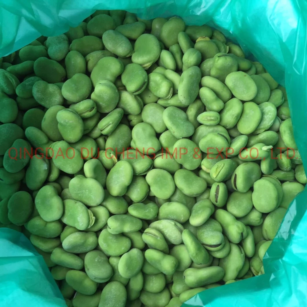 Dry Yellow Broad Beans, Frozen Green Broad Bean