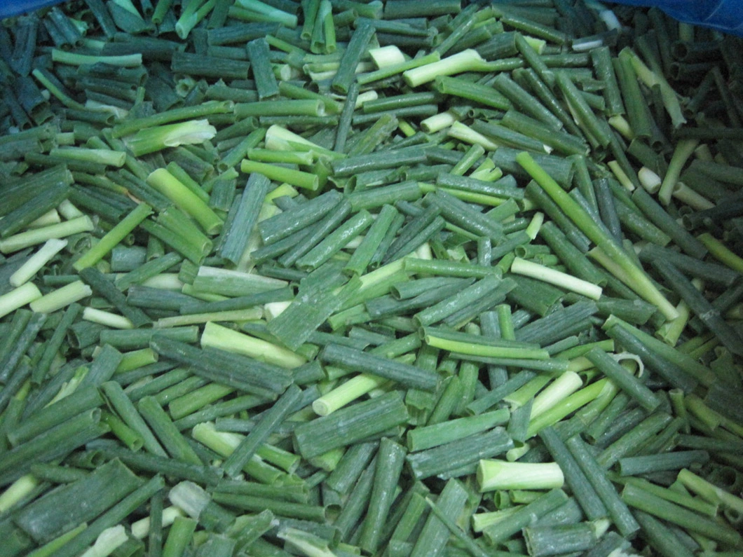 IQF Green Onion Cut, Frozen Spring Onion Cut