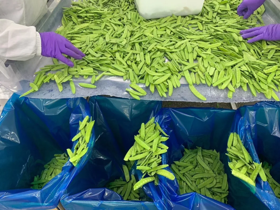 IQF Frozen Food Green Peas Shelled Edamame Whole From China Factory