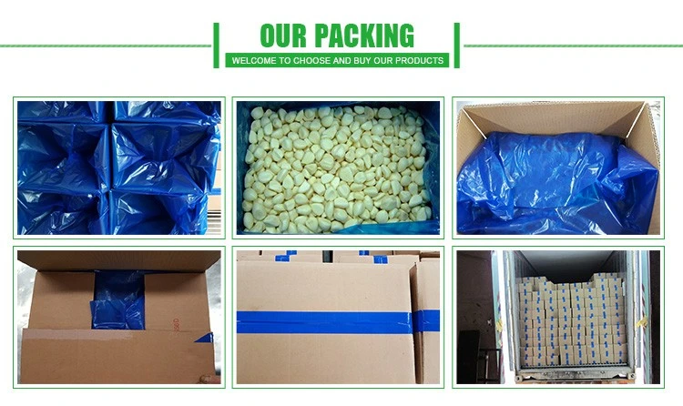 Wholesale China Frozen Garlic Peeled Garlic Cloves Garlic Dice