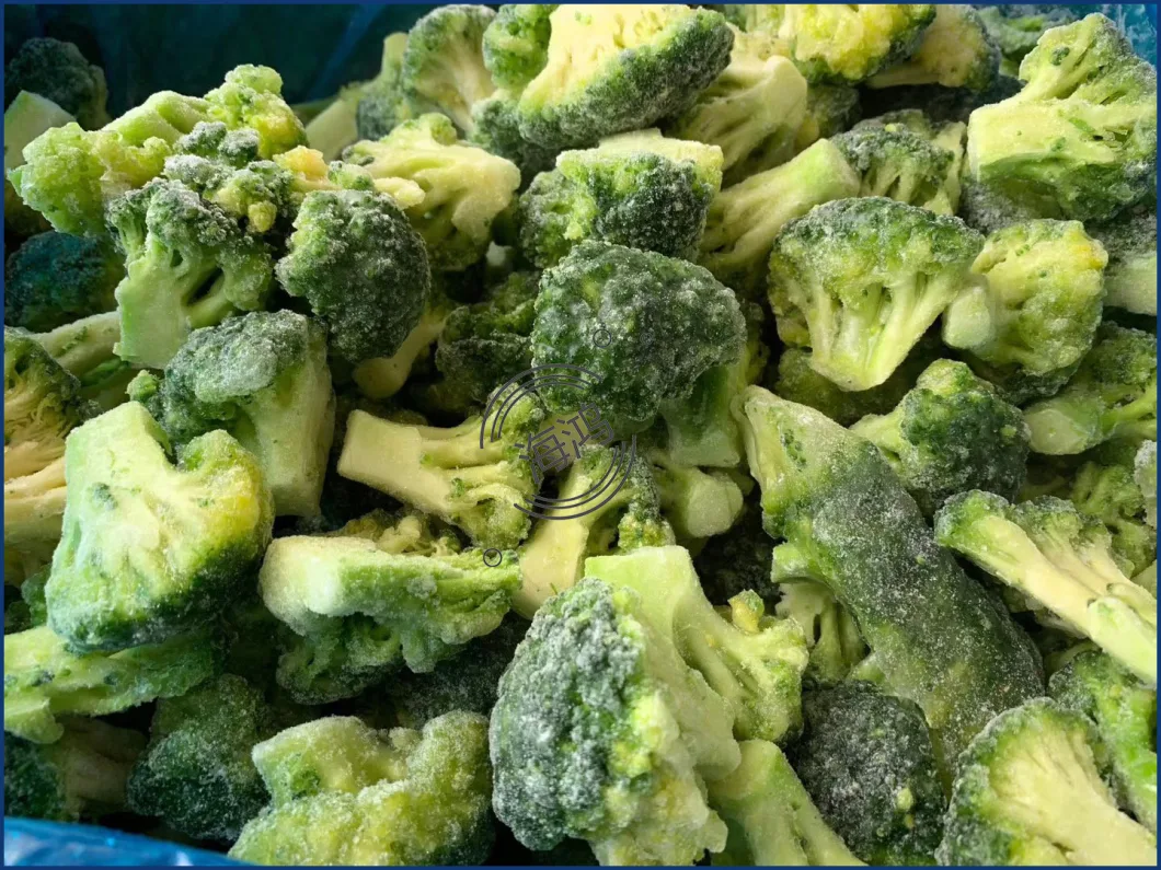 High-Quality Frozen Broccoli with The Best Price