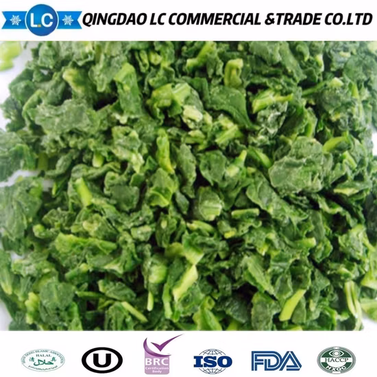 Venda imperdível Nature Color Fresco IQF Congelado Espinafre picado