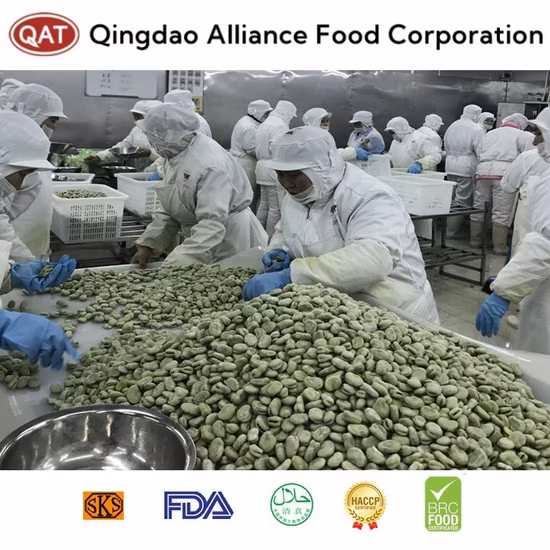 Halal Brc ISO Nova Colheita Congelada IQF Favas de Cor Verde com Preço de Fábrica Favas Miolo em Embalagem de Caixa a Granel Embalagem de Varejo